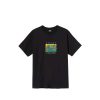 T-Shirts & Polo * | Stussy Irises Tee Black 1904624 Promotion