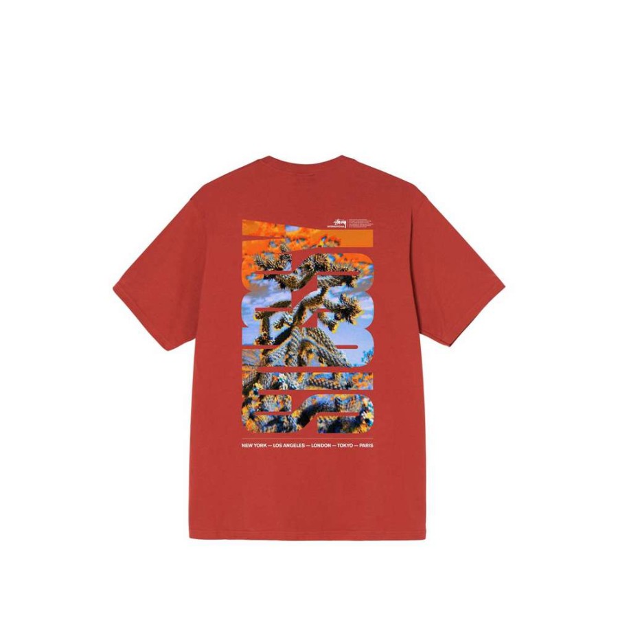 T-Shirts & Polo * | Stussy Desert Sky Tee Brick 1904706 Discount