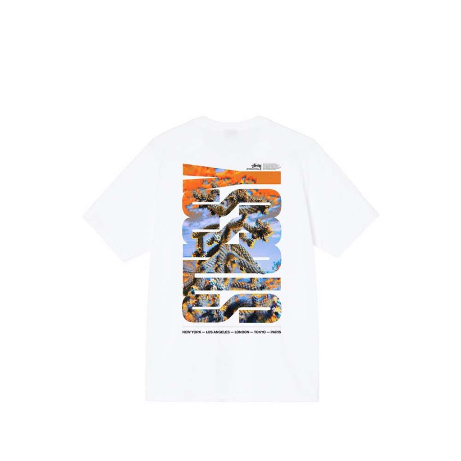 T-Shirts & Polo * | Stussy Desert Sky Tee White 1904706 Discount